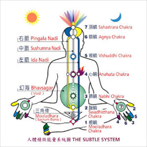 身体能量系统示意图